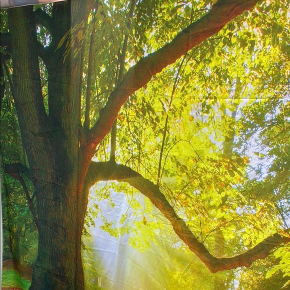 Sunlit Forest Wall Tapestry - Picture 4 of 7